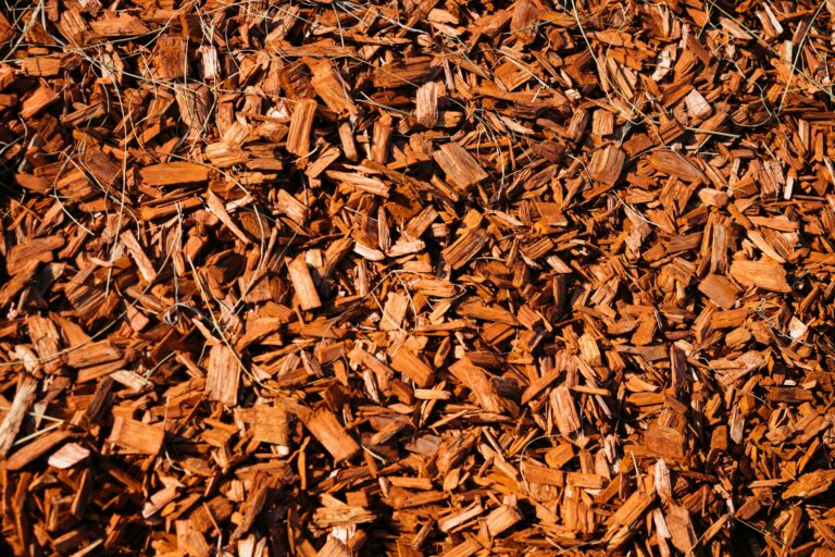 Transform Your Landscape with Expert Brush Removal and Wood Chipping Services