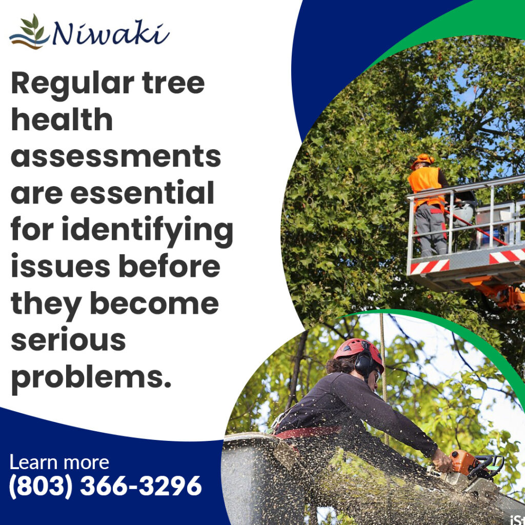 Niwaki Tree Service 1 1024x1024 1