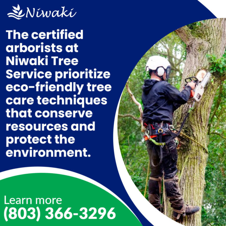 Niwaki Tree Service Boosts Tree Health in Rock Hill, SC