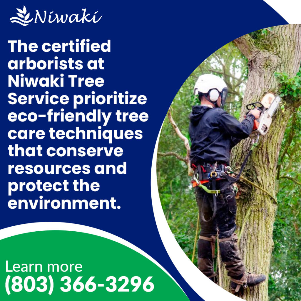 Niwaki Tree Service 2 1024x1024 1