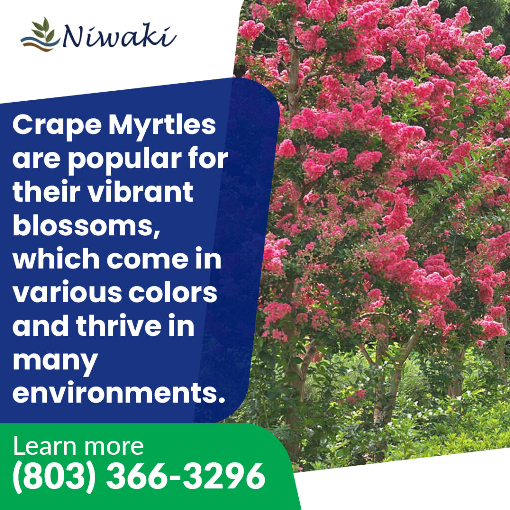 Niwaki Tree Service 3 1 1024x1024 2