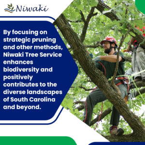 Niwaki Tree Service: Eco-Friendly Tree Care Services for a Sustainable ...