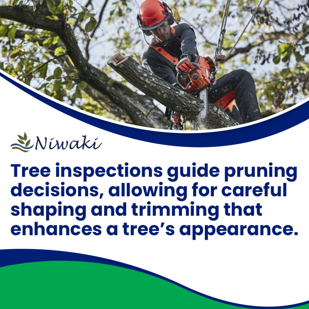 Niwaki Tree Service 2 1 1024x1024 1