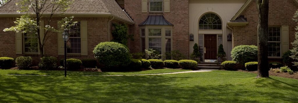 lawn and shrub care