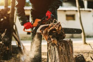 tree stump removal services Lake Wylie