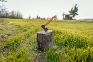 Lawn and Shrub Care 4 tree stump removal services Rock Hill SC