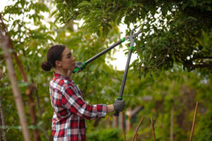 young woman gadener cutting branches tree taking care concept nature hobby garden e1690935747830