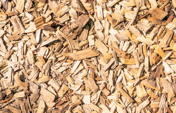 Forestry Mulching Services 5 Forestry Mulching Services