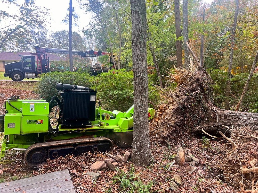 Forestry Mulching Services 3 Forestry Mulching Services
