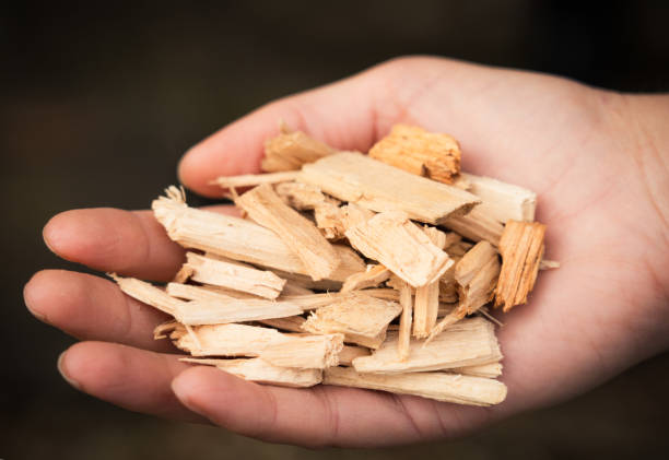 Forestry Mulching Services 2 Forestry Mulching Services