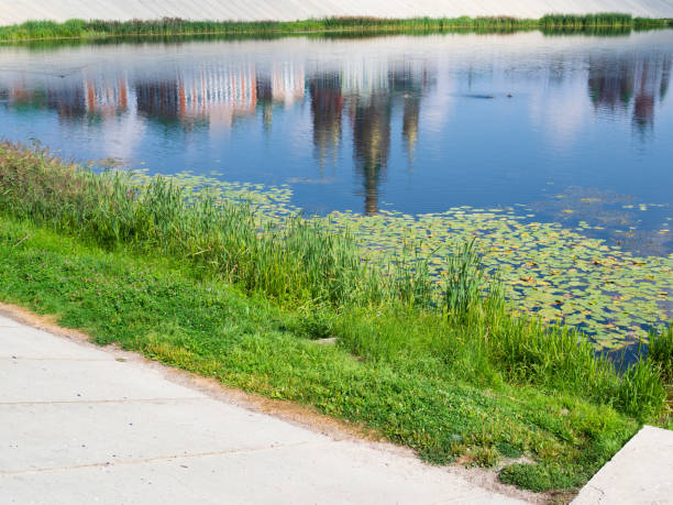 Retention Pond Vegetation Management 7 Retention Pond Vegetation Management