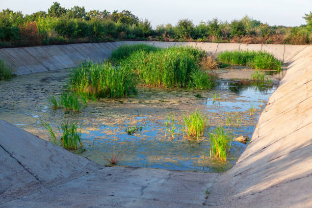 Retention Pond Vegetation Management 4 Retention Pond Vegetation Management
