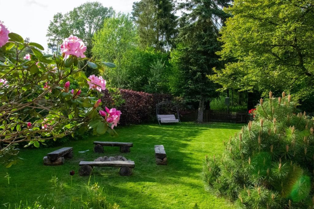 Shrub and Lawn Care Fort Mill