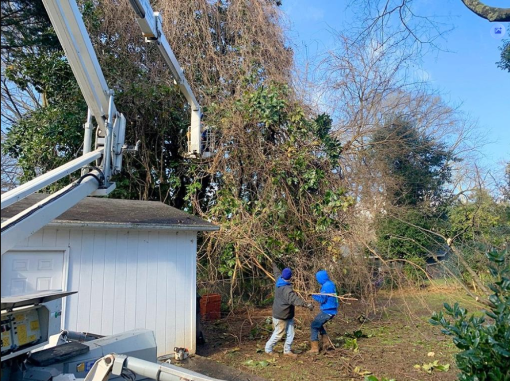 Environmental Issues 2 Environmental Issues 3