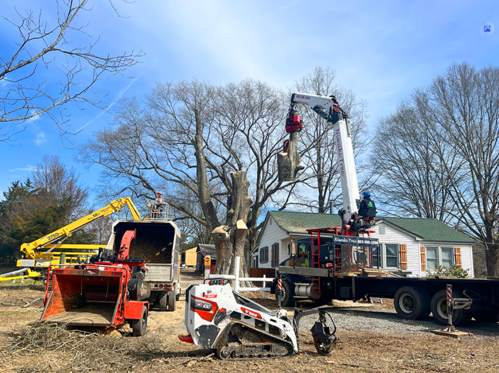 Brush Removal and Wood Chipping Service Rock Hill 5