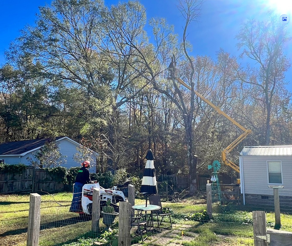 Emergency Tree Service Rock Hill 2