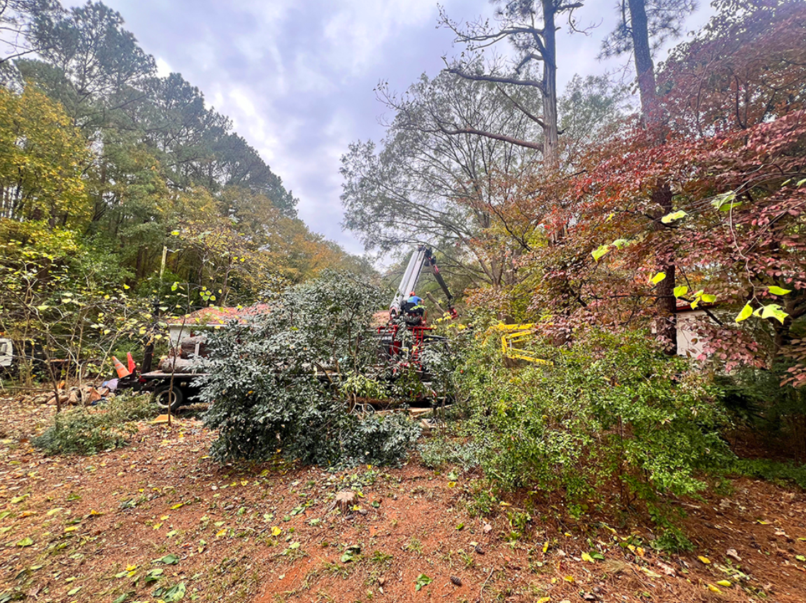 Gardener Rock Hill 4