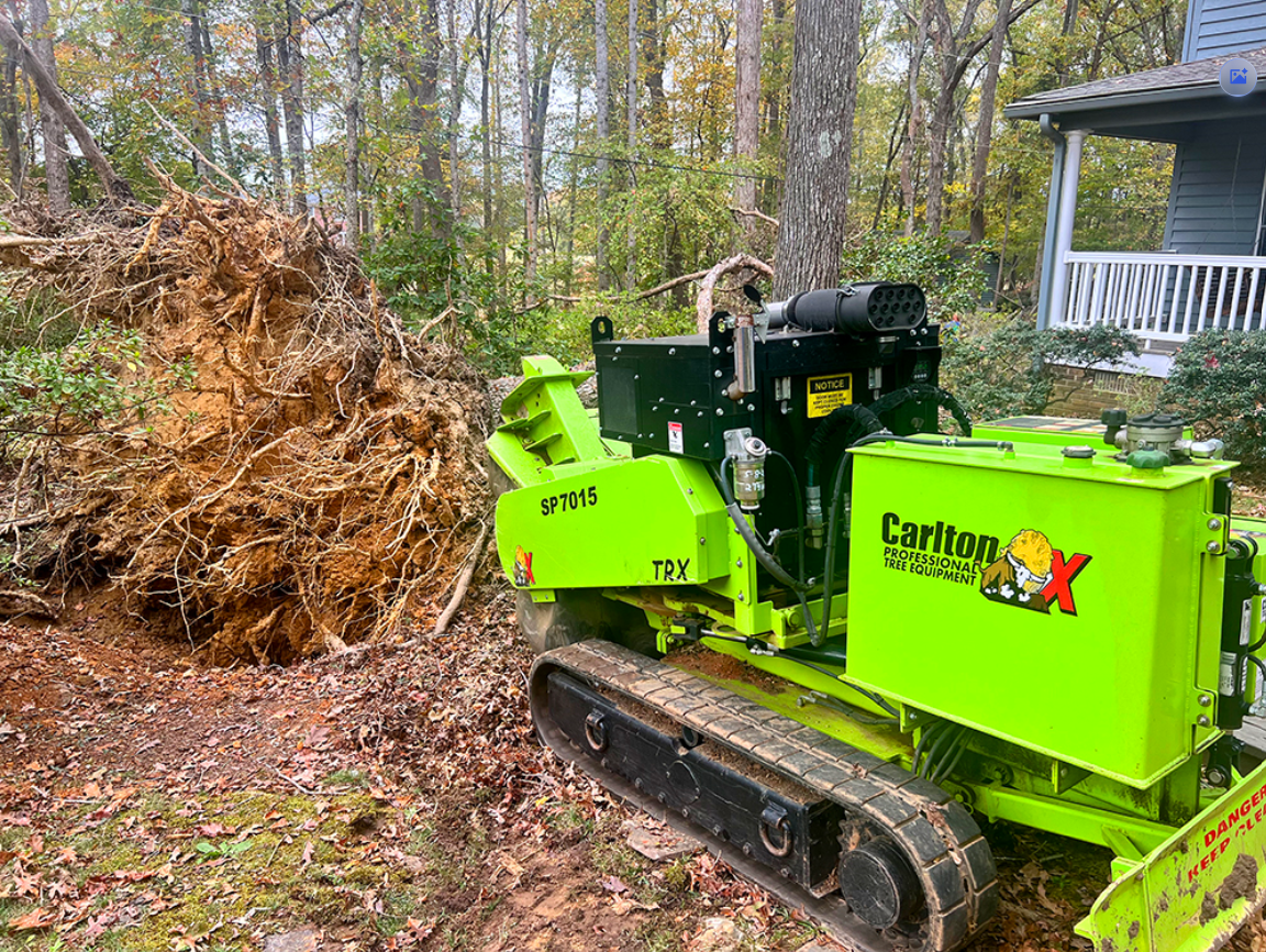 Stump Grinding and Removal Rock Hill, SC | Niwaki Tree Services