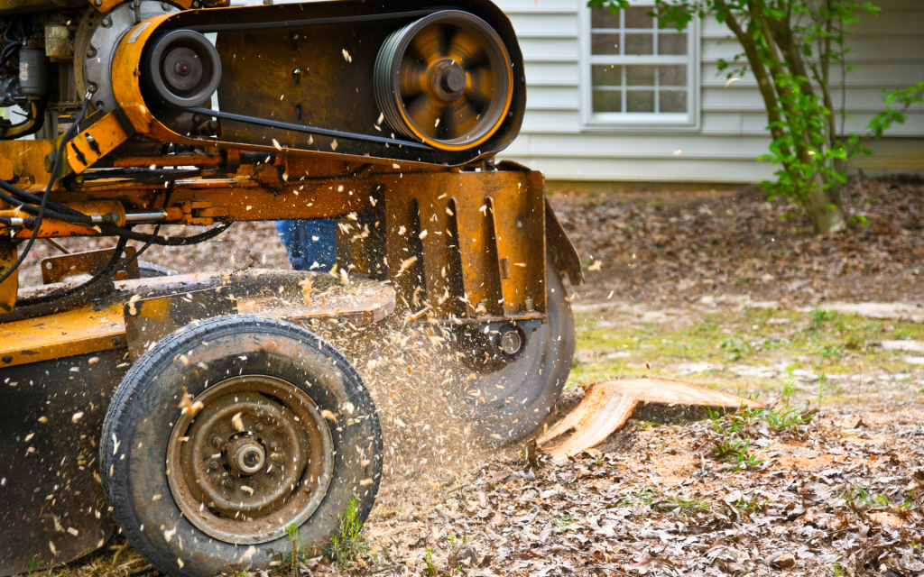 Stump Grinding and Removal Rock Hill 2