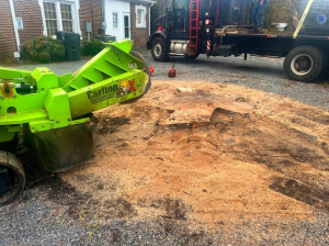 Blog 25 Stump Grinding and Removal Rock Hill