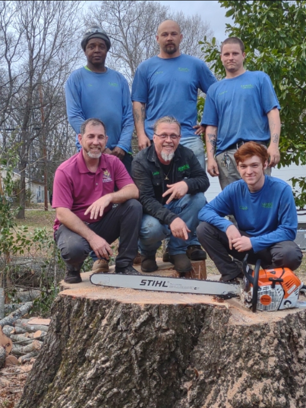 Stump Grinding and Removal Rock Hill 4