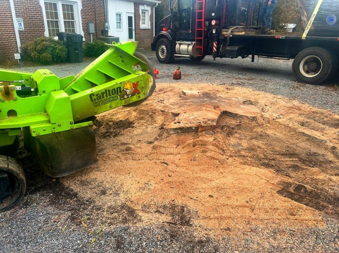 Stump Grinding and Removal Rock Hill, SC | Niwaki Tree Services