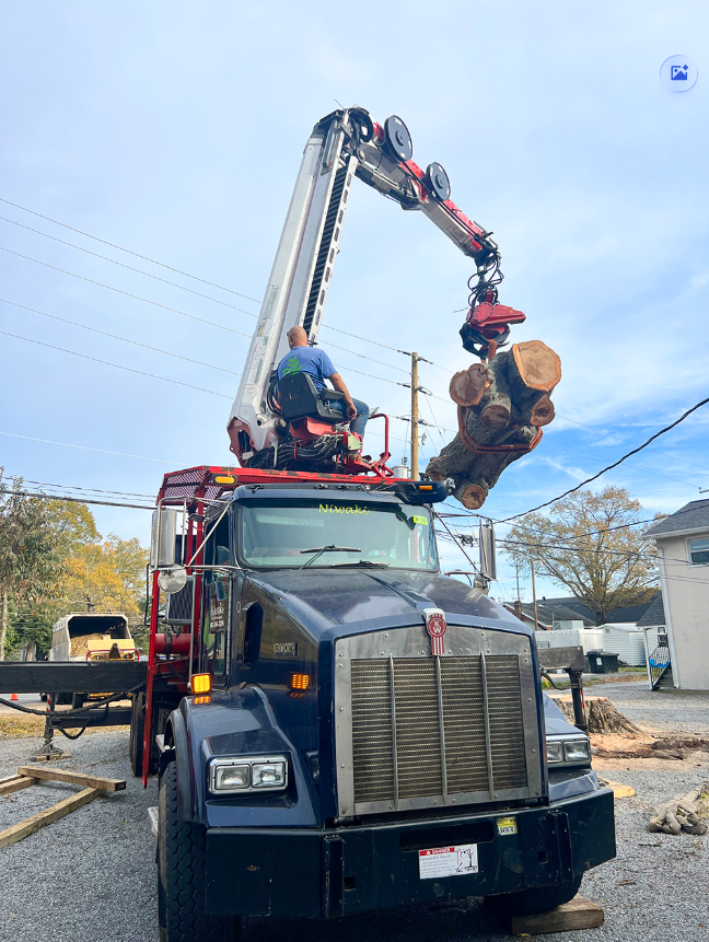 Tree Removal & Tree Cutting Services Rock Hill 2