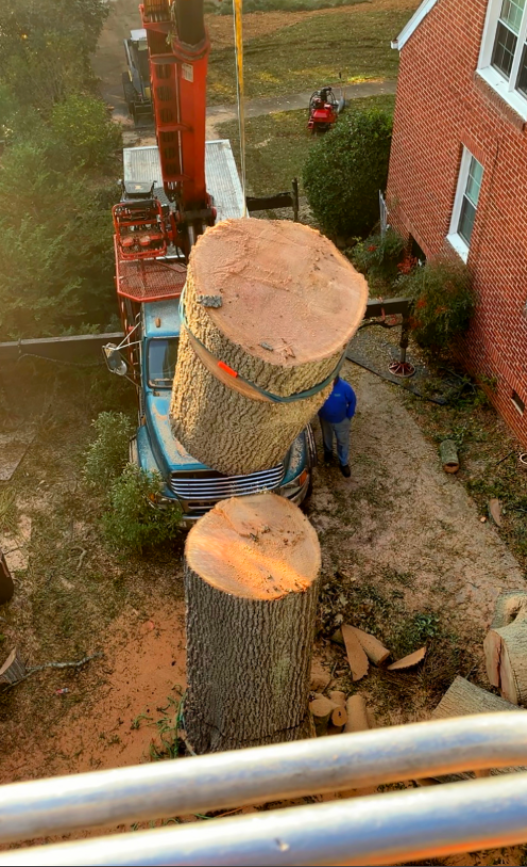 Brush Removal and Wood Chipping Service Indian Land