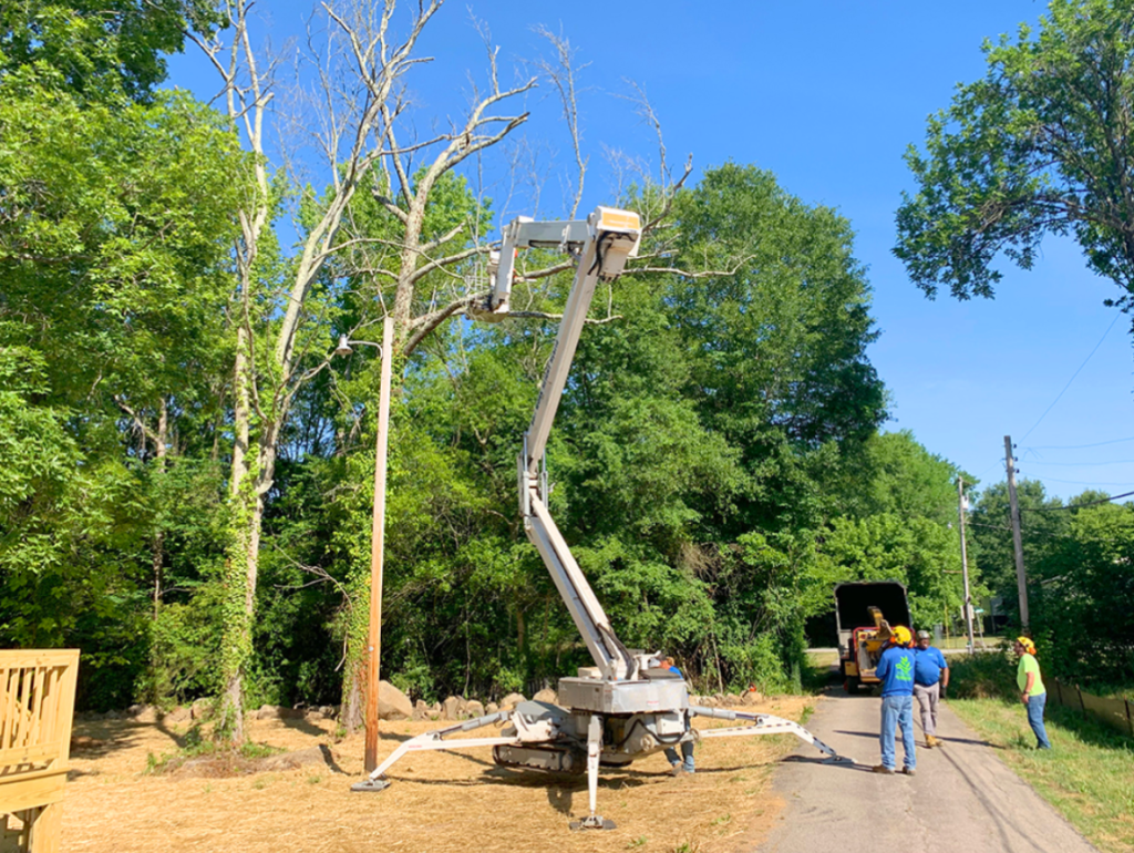 Crape Myrtle Specialist Indian Land