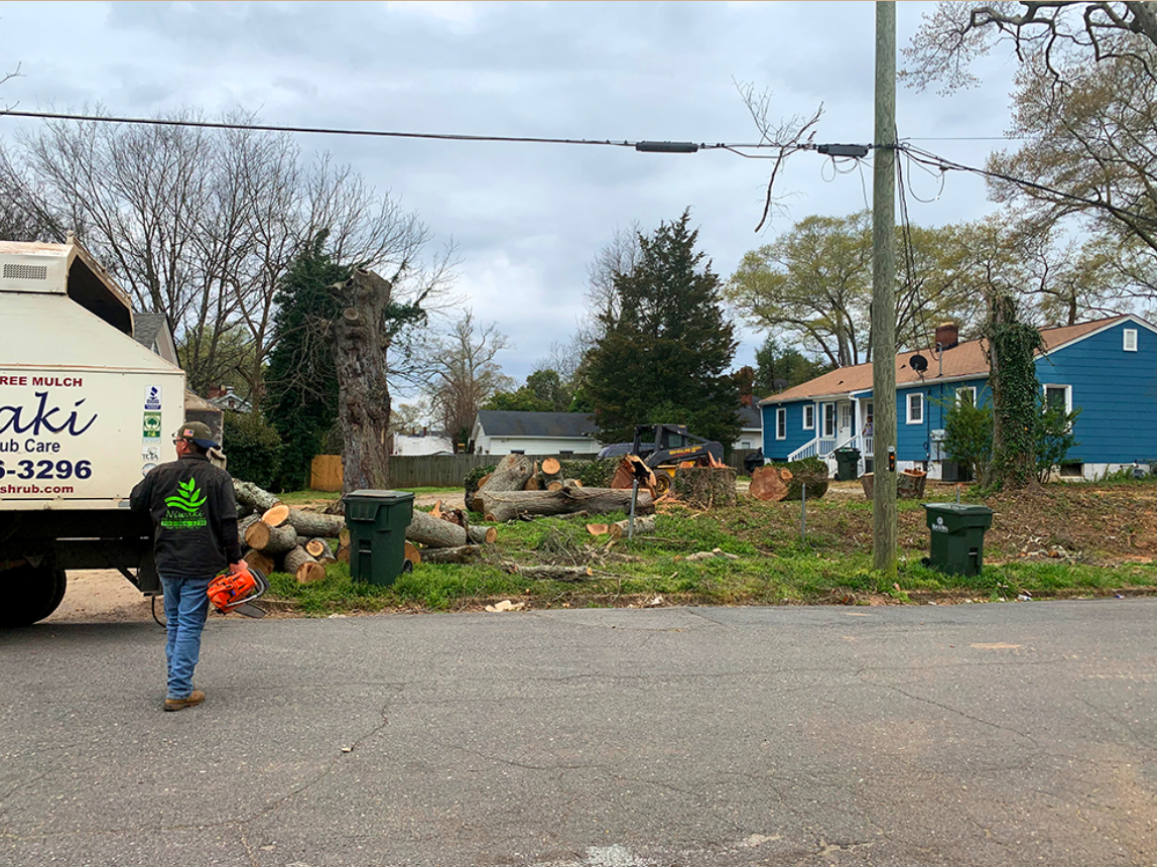 Emergency Tree Service Indian Land