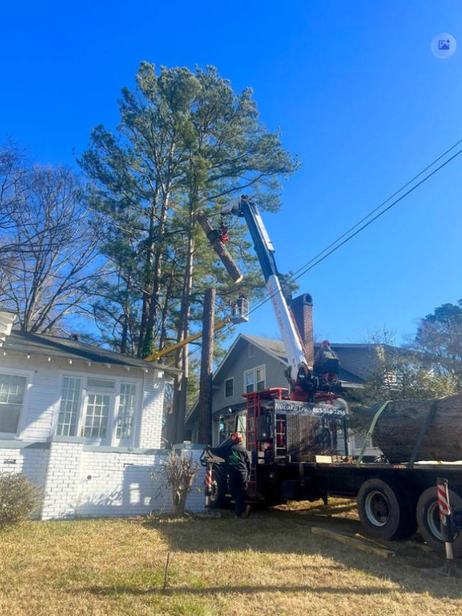 Quality Tree Care Indian Land 2