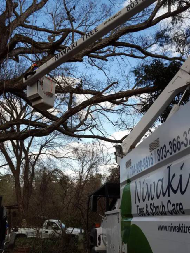 Quality Tree Care Indian Land