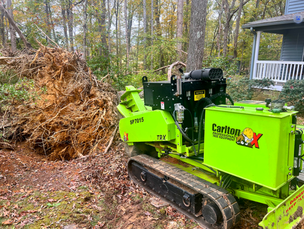 Stump Grinding and Removal Indian Land 4