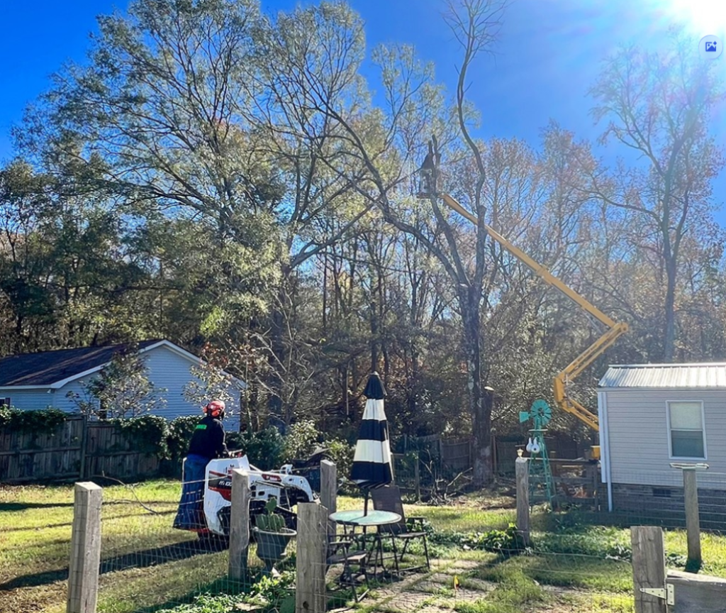 Tree Trimming and Tree Pruning Indian Land 3
