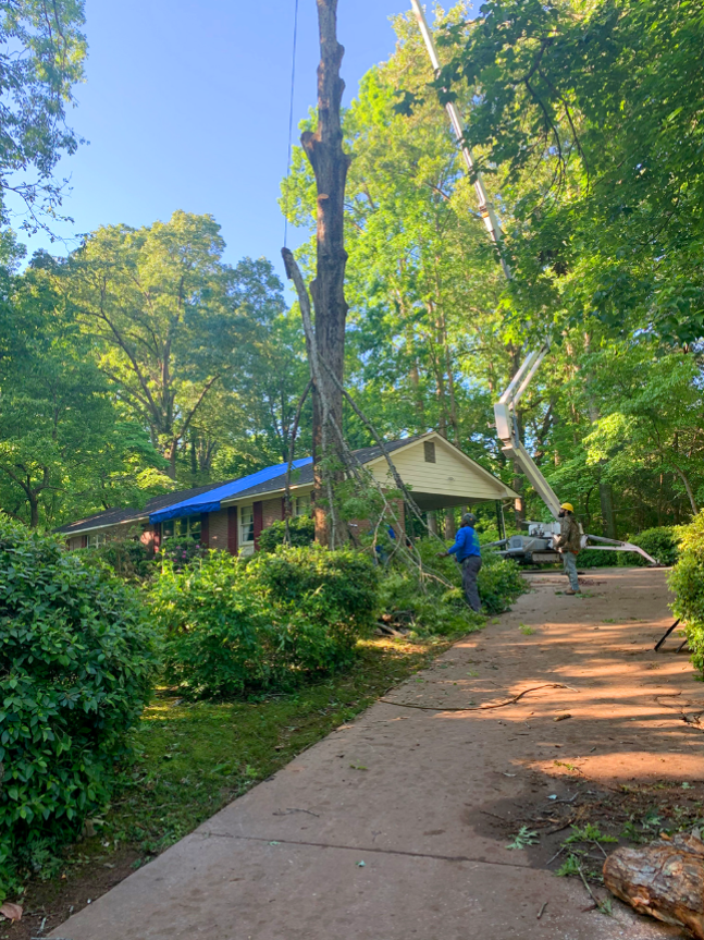 Trusted Shrub and Lawn Care Indian Land 2