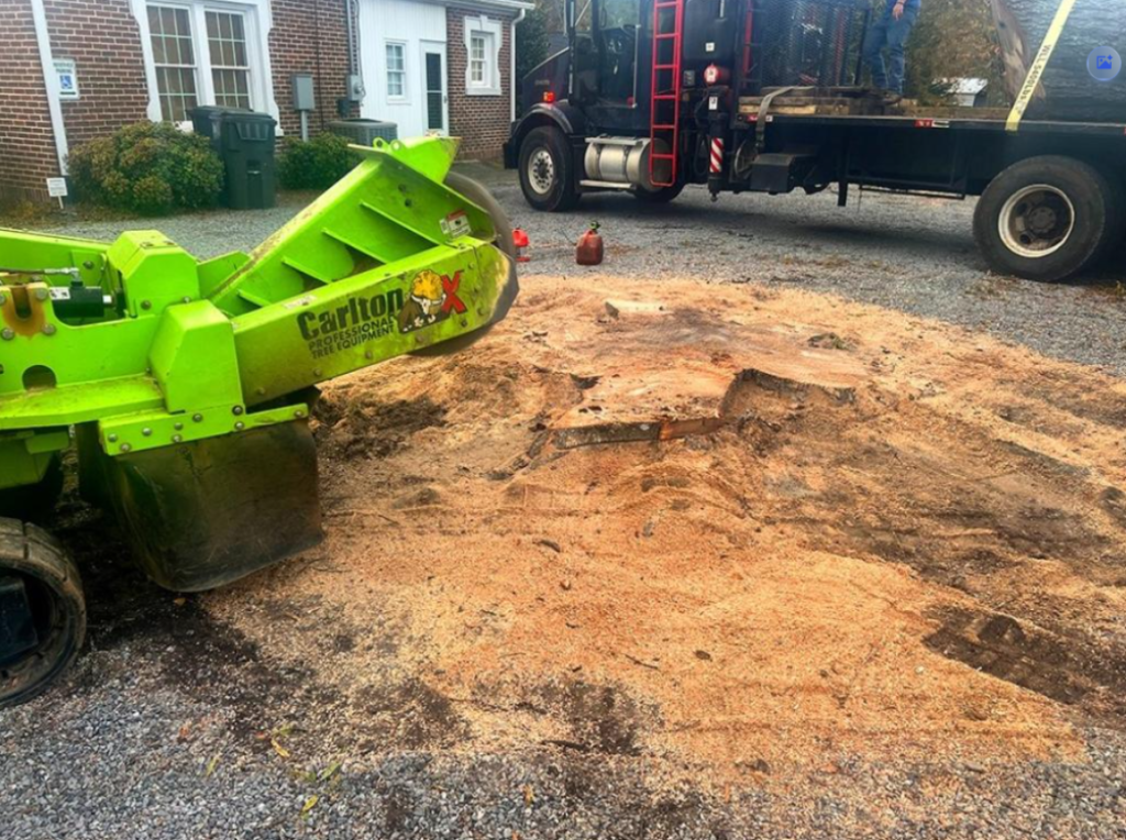 Stump Grinding and Removal Fort Mill