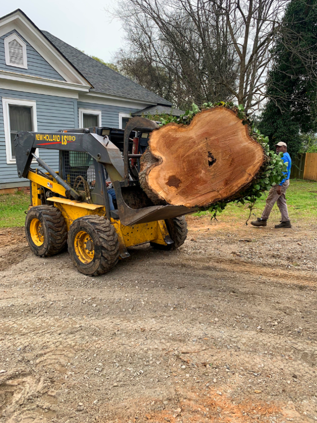 Stump Grinding and Removal Fort Mill